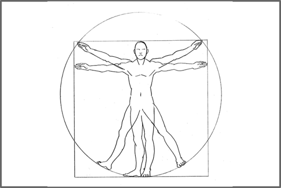体の作りや動き方